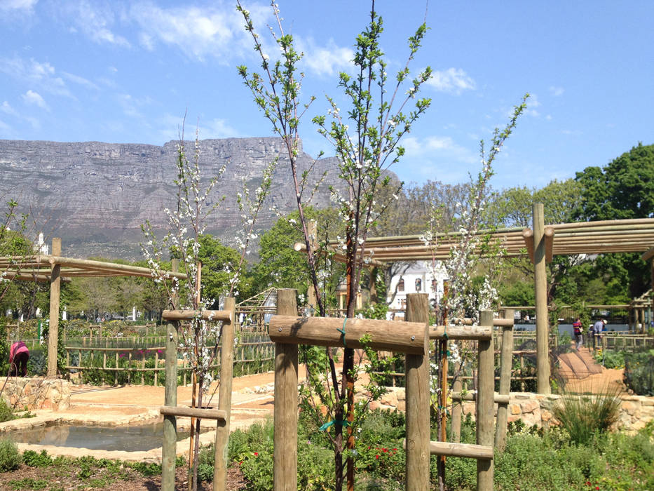 The Dutch Gardens at the Company's Garden, Urban Landscape Solutions Urban Landscape Solutions