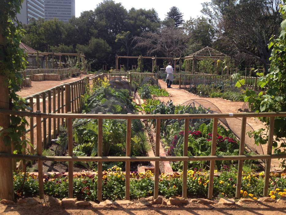 The Dutch Gardens at the Company's Garden, Urban Landscape Solutions Urban Landscape Solutions
