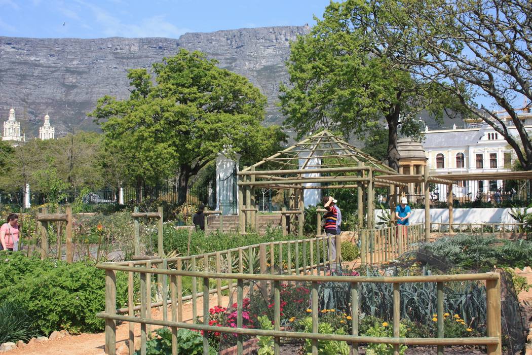The Dutch Gardens at the Company's Garden, Urban Landscape Solutions Urban Landscape Solutions
