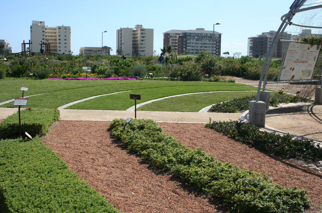 Biodiversity Garden, Green Point Park Urban Landscape Solutions Commercial spaces lawns,Event venues