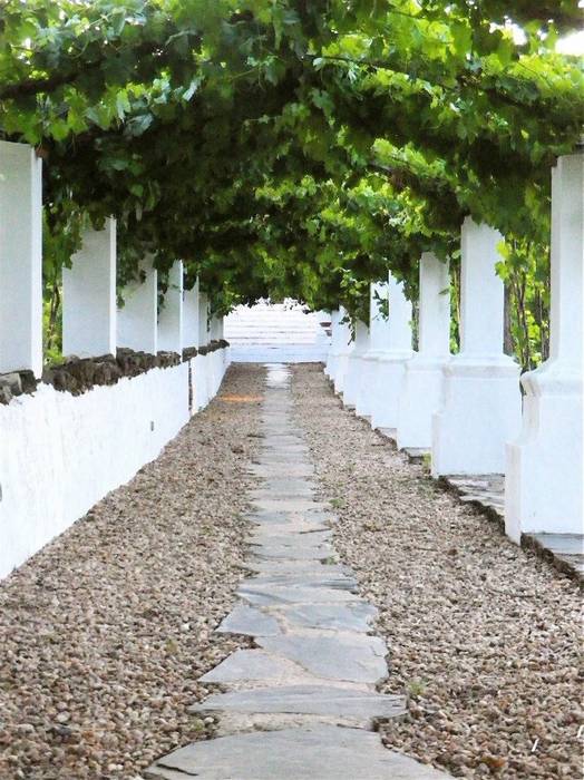 HERDADE VALMONTE HOTEL, pedro quintela studio pedro quintela studio Rustic style garden