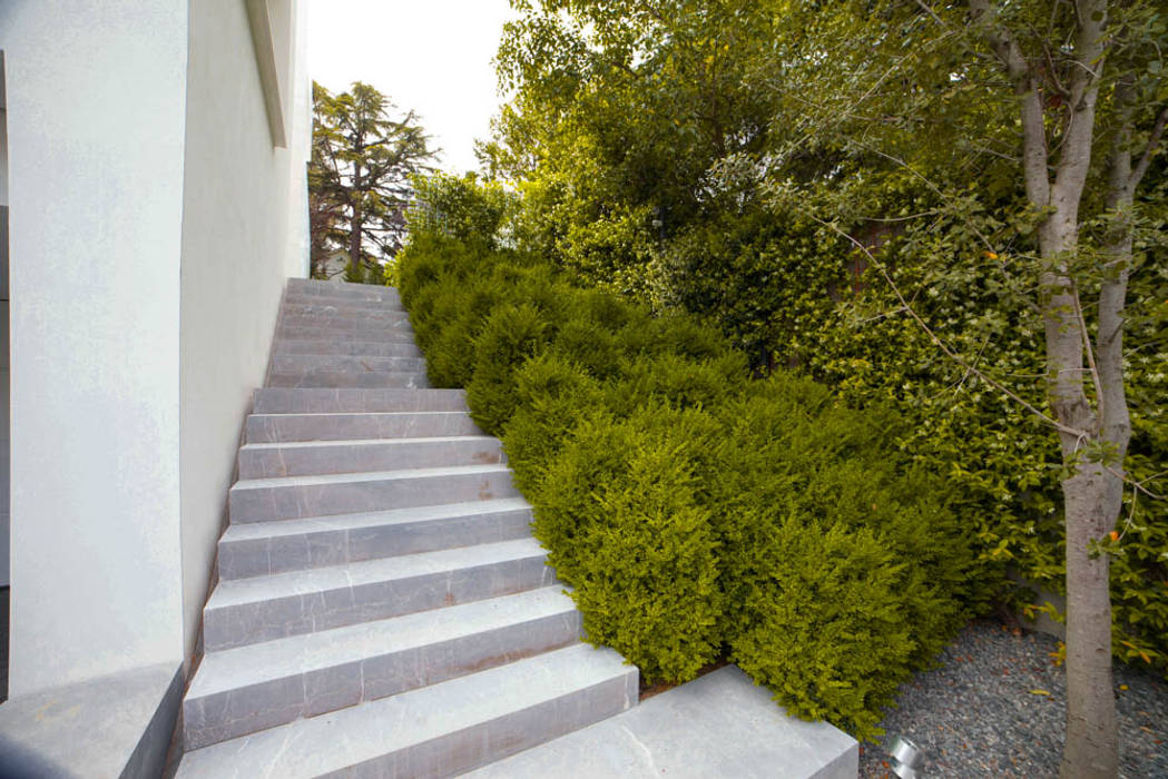 Garden in Madrid, Planta Paisajistas Planta Paisajistas モダンな庭