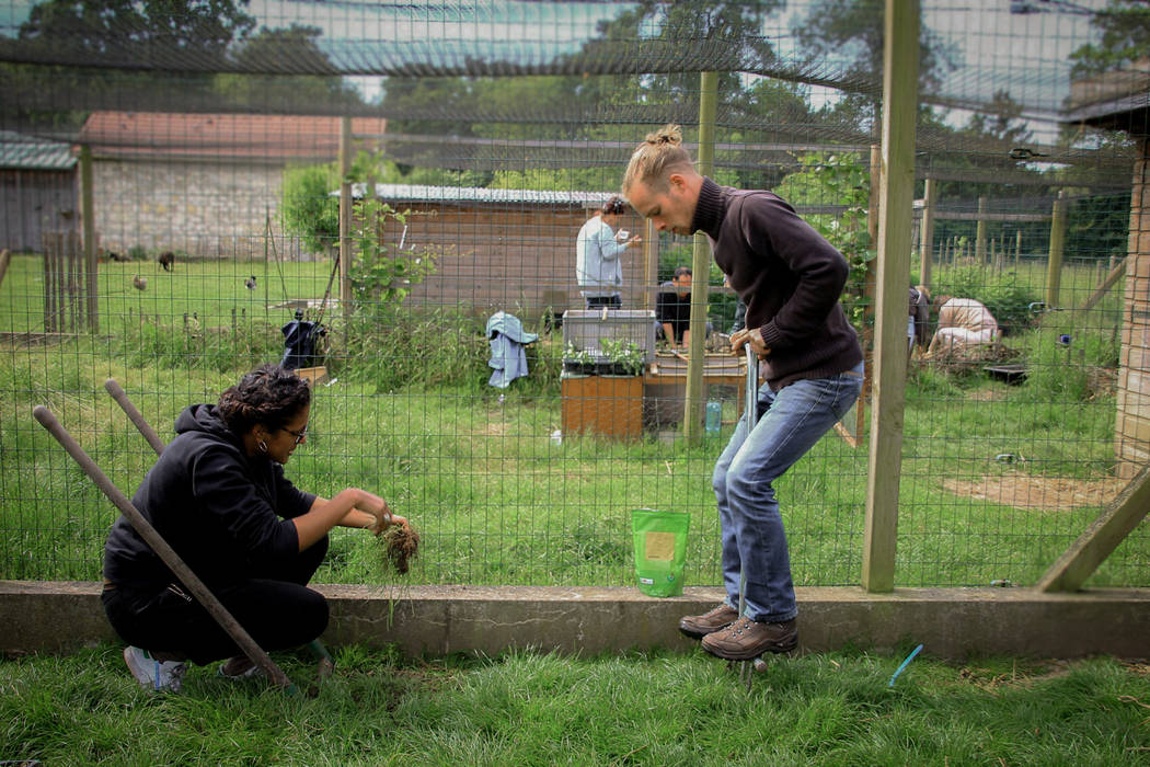 Conférence "Jardiner au poulailler", Fertiles Fertiles Bedrijfsruimten Exhibitieruimten