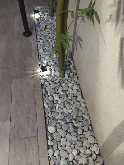 Espacio bambú jardines modernos de espacios que inspiran moderno bambú