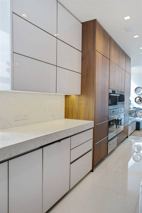 Collins Avenue Project Kitchen and Bathrooms, ALNO North America ALNO North America Cocinas modernas