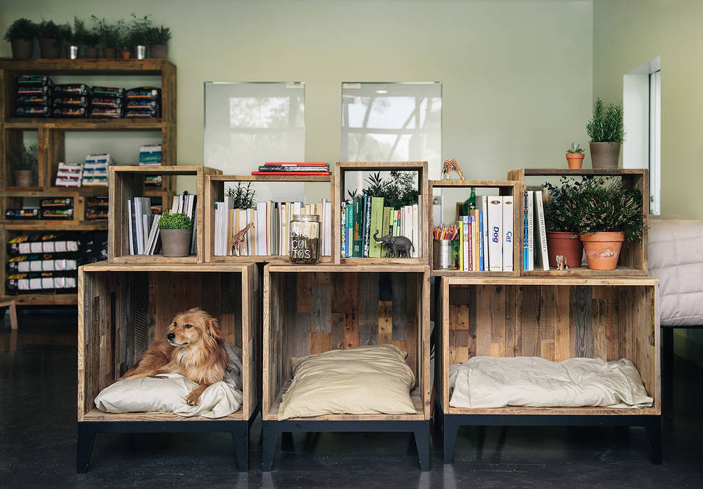 Pet's waiting room Arkstudio Commercial spaces Wood Wood effect Hospitals