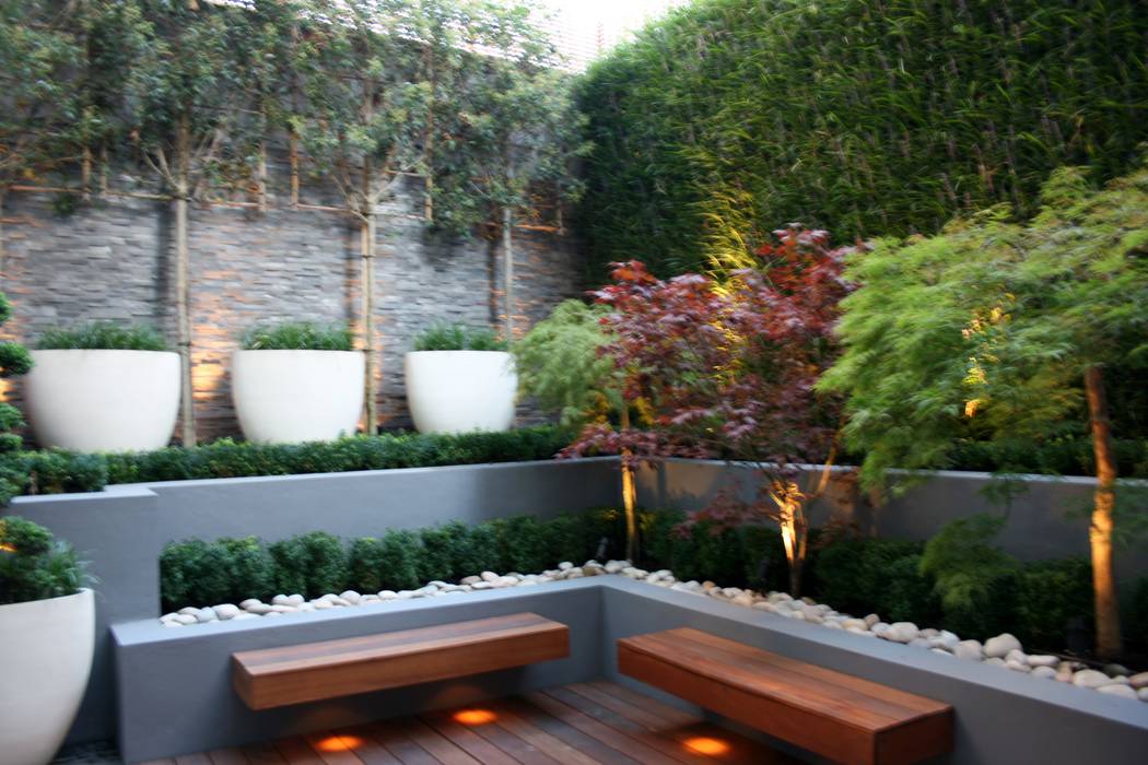 Contemporary basement Court Yard in Central London GreenlinesDesign Ltd Taman Modern Batu Tulis Slate cladding,hardwood decking,retaining walls,contemporary planters,espaliered trees,Living Wall,garden lighting,white pebbles,topiary,buxus,boxwood