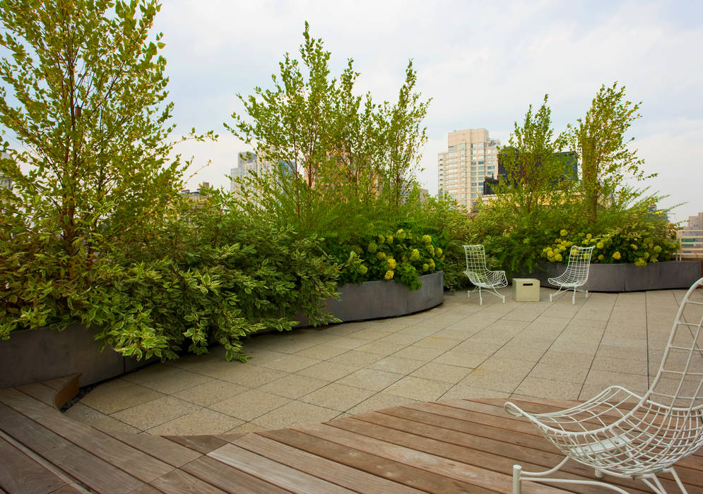 Empire State Loft, Koko Architecture + Design Koko Architecture + Design Balcones y terrazas modernos: Ideas, imágenes y decoración