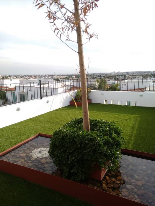 ROOF GARDEN MARTÍNEZ, Arqca Arqca สวน