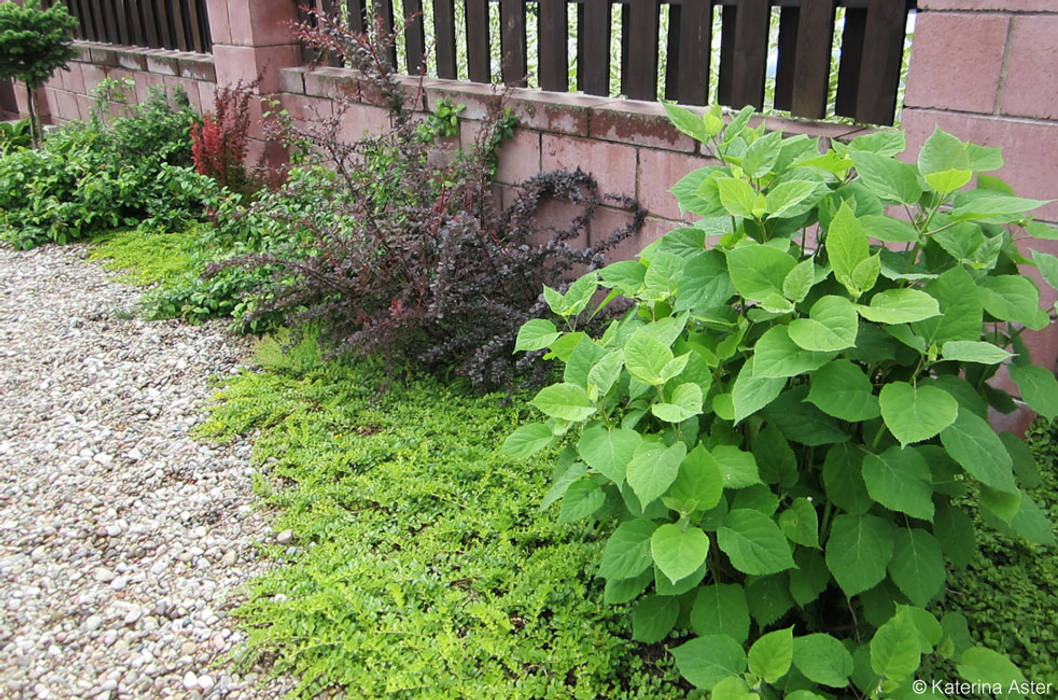 Ландшафтный дизайн городского участка, Aster Garden Aster Garden Taman interior Interior landscaping