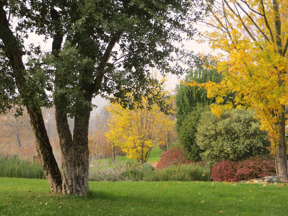 ROMANTICO IN AUTUNNO homify Giardino rurale Quercus suber,quercia sughera,giardino autunnale,colore foglie,foglie colorate,paesaggista,architetto del verde