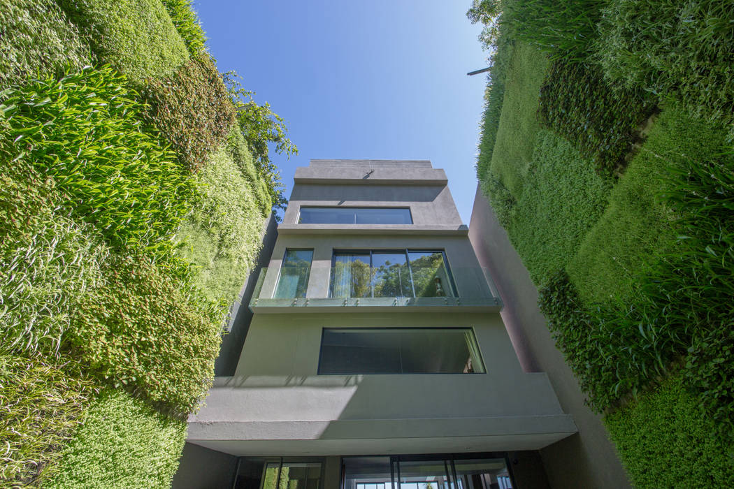 Outdoor Vertical Garden on Kloof Road homify Modern houses living green wall,vertical garden,living wall,exterior space,outdoor plants