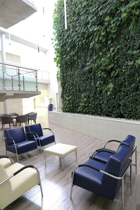 Netcare Muldersdrift, Modiwall Vertical Gardens Modiwall Vertical Gardens Commercial spaces Vertical Garden,Greenwall,Hospitals