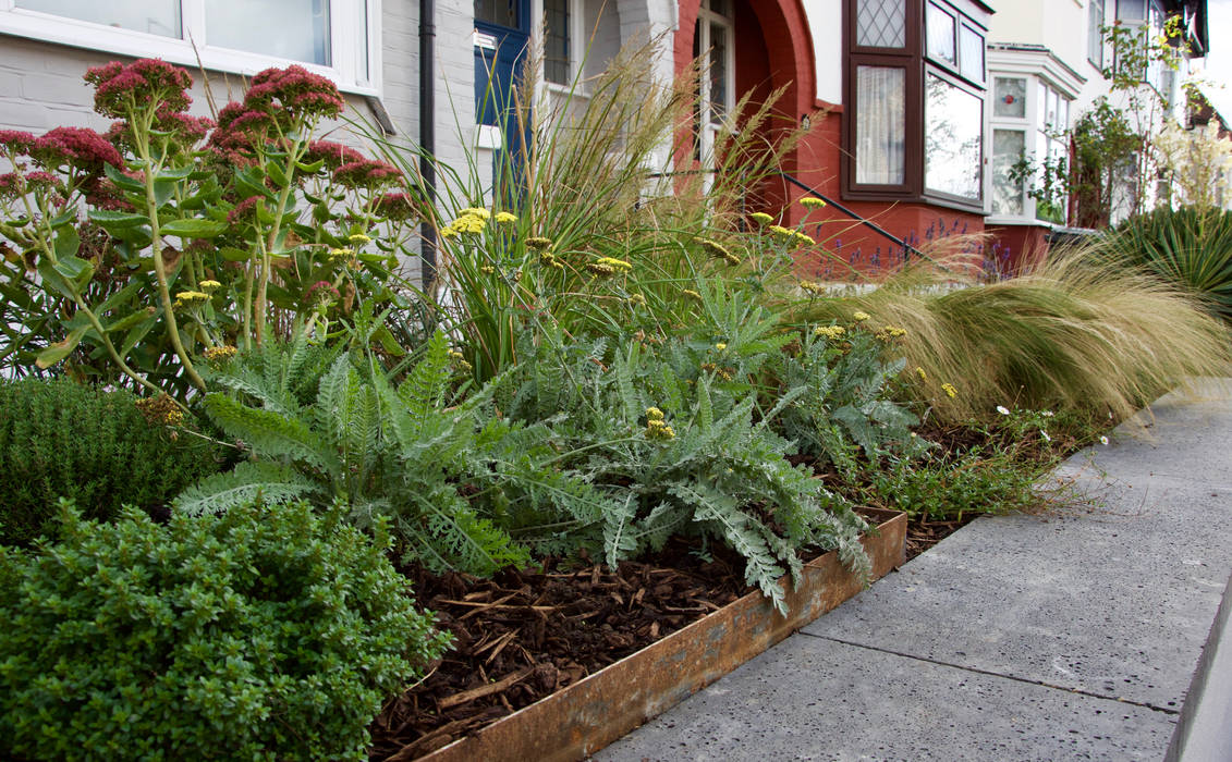 Front garden planting Tom Massey Landscape & Garden Design Modern Garden