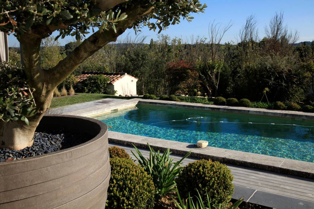 Aix En Provence Jardin Deco Piscine Moderne Par Conceptuelles Paysage Et Decoration Moderne Homify