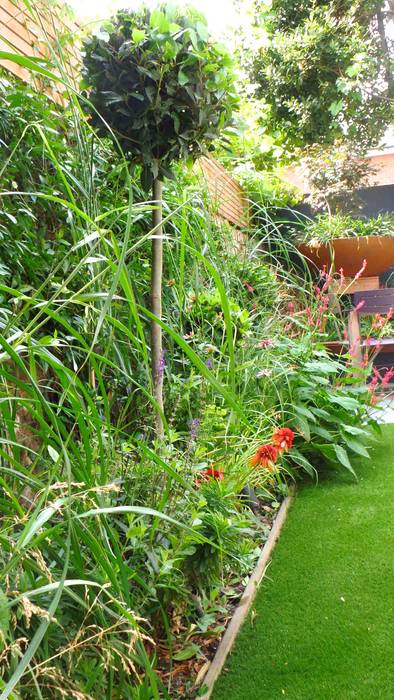 Funky Family Garden in Chiswick, GreenlinesDesign Ltd GreenlinesDesign Ltd Jardins ecléticos grasses,perennials,bay topiary,fake lawn