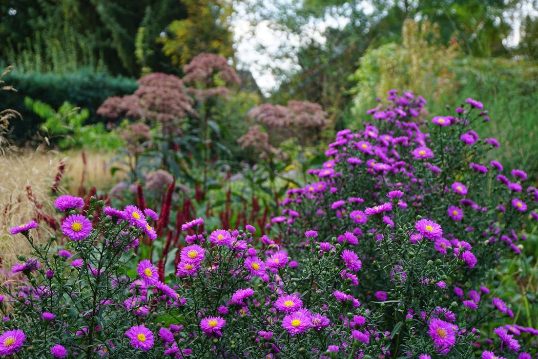 Berliner Villengarten, Büro Christian Meyer Büro Christian Meyer Modern style gardens