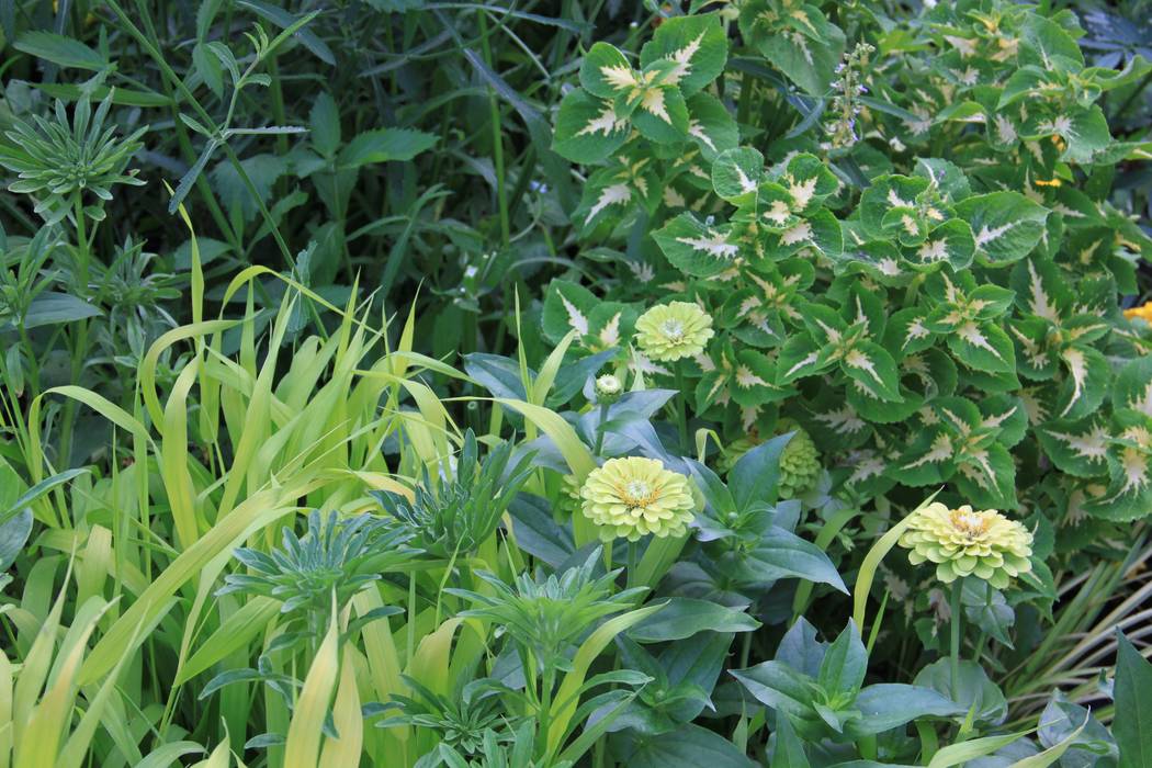 Oberösterreichische Landesgartenschau Bad Ischl 2015, Büro Christian Meyer Büro Christian Meyer Сад