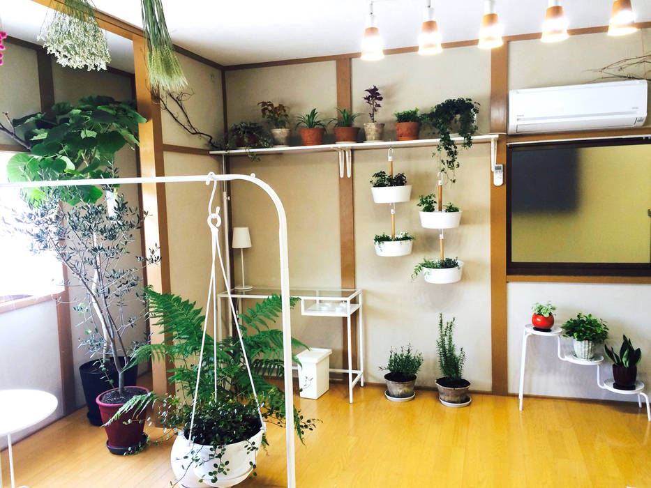 Sofil, ミドリカフェ ミドリカフェ Vườn nội thất Interior landscaping