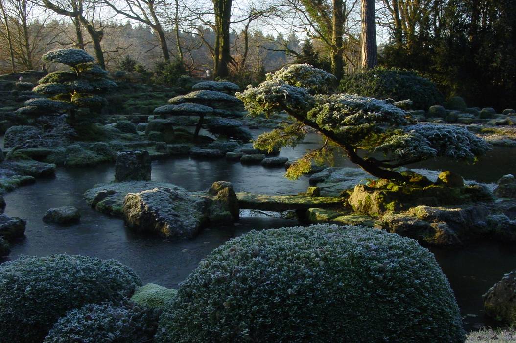 japanische Gärten im Winter, japan-garten-kultur japan-garten-kultur Espacios comerciales Salones de eventos