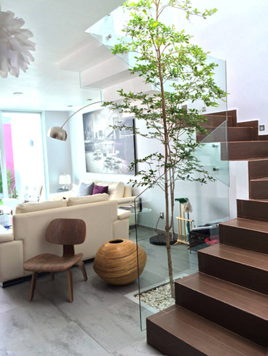 Privada Paraíso Base-Arquitectura Pasillos, vestíbulos y escaleras minimalistas