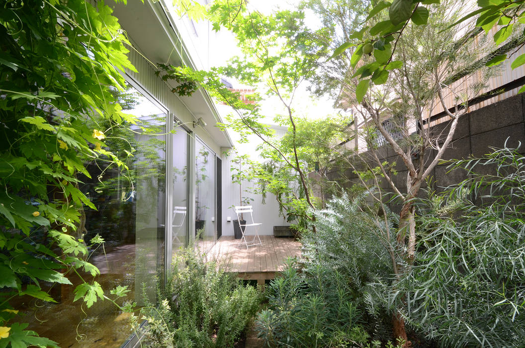 武蔵境の家, ディンプル建築設計事務所 ディンプル建築設計事務所 Modern style gardens
