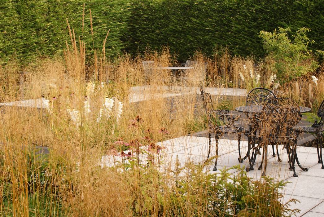 Garden Design Poynton, Hannah Collins Garden Design Hannah Collins Garden Design Modern style gardens