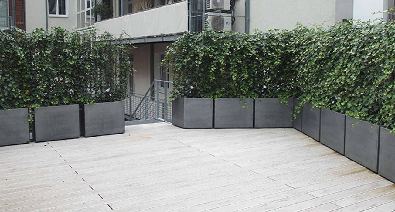 Terrasse à Düsseldorf : Ensemble de jardinières patinées Zinc; Fourniture clef en main !, ATELIER SO GREEN ATELIER SO GREEN Commercial spaces Nơi tổ chức sự kiện