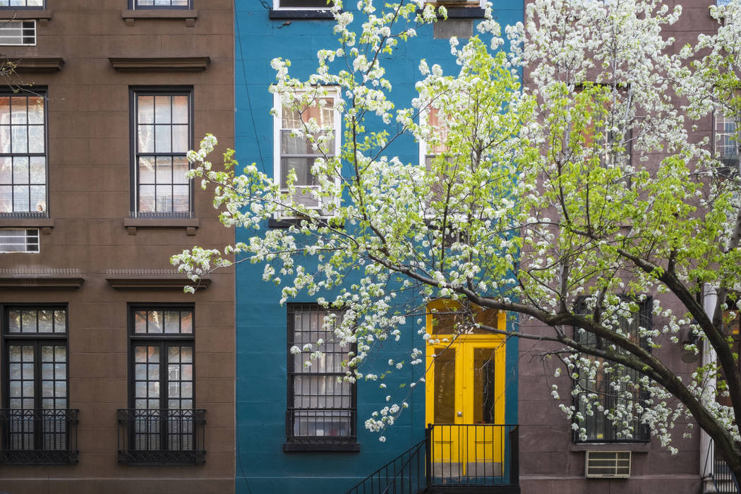 Blossoming tree near an old apartment building, Manhattan, New York City homify