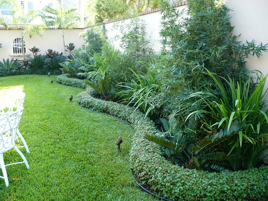 PRIVATE RESIDENCE - PANAMA CITY, TARTE LANDSCAPES TARTE LANDSCAPES Tropical style garden