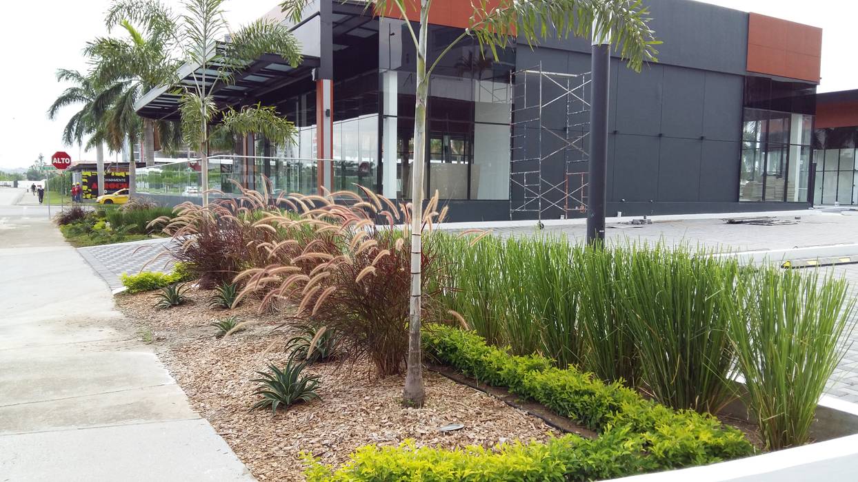 THE CORNER PLAZA - PANAMA CITY, TARTE LANDSCAPES TARTE LANDSCAPES Modern Garden