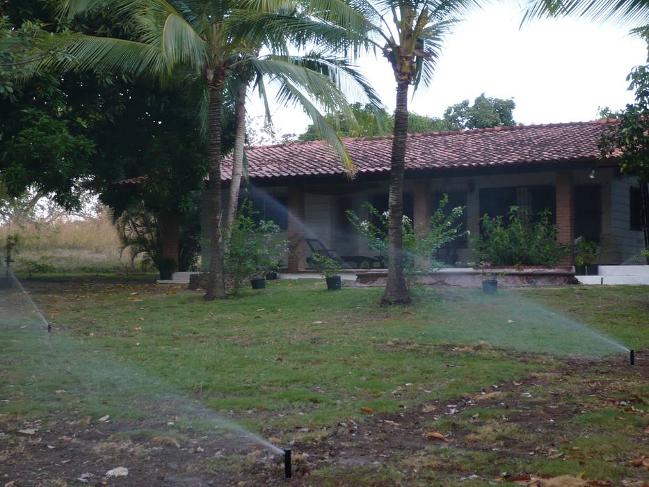 IRRIGATION SYSTEMS, TARTE LANDSCAPES TARTE LANDSCAPES Tropical style garden