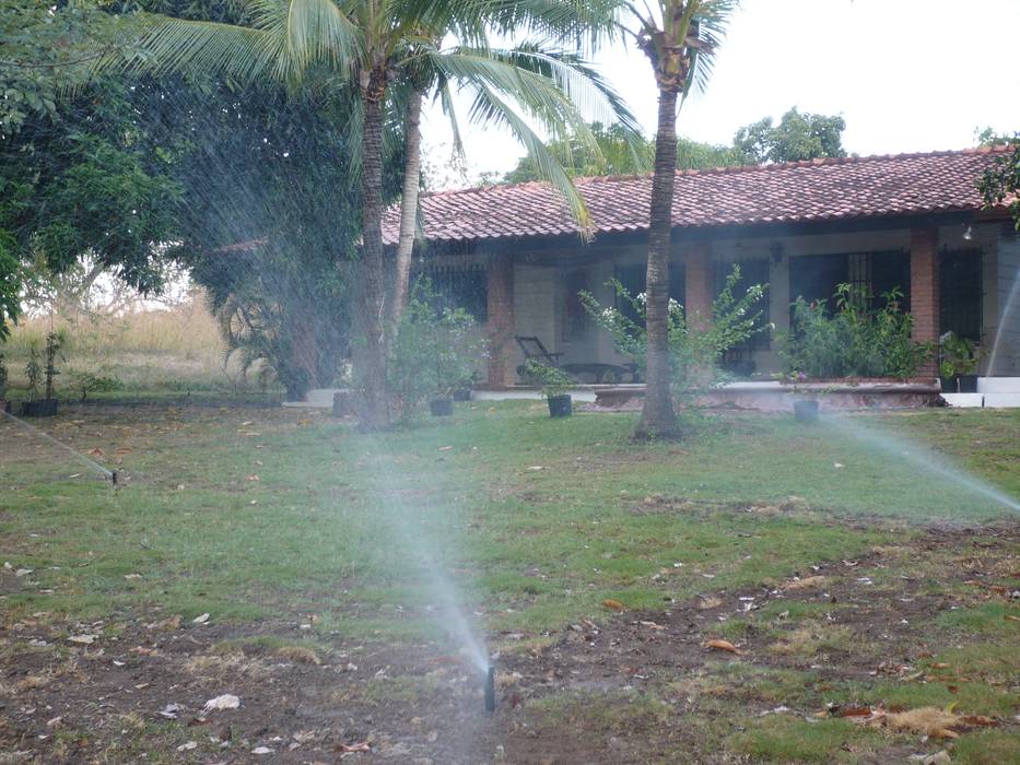 IRRIGATION SYSTEMS, TARTE LANDSCAPES TARTE LANDSCAPES Tropical style garden