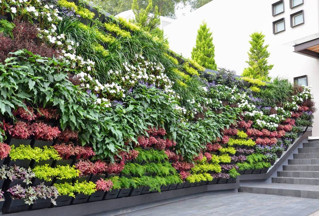 Plantas Para Muros Verdes MURO VERDE Como Fazer Dicas E Fotos RFIFJT Plantas Para Muros Verdes MURO VERDE Como Fazer Dicas E Fotos RFIFJT
