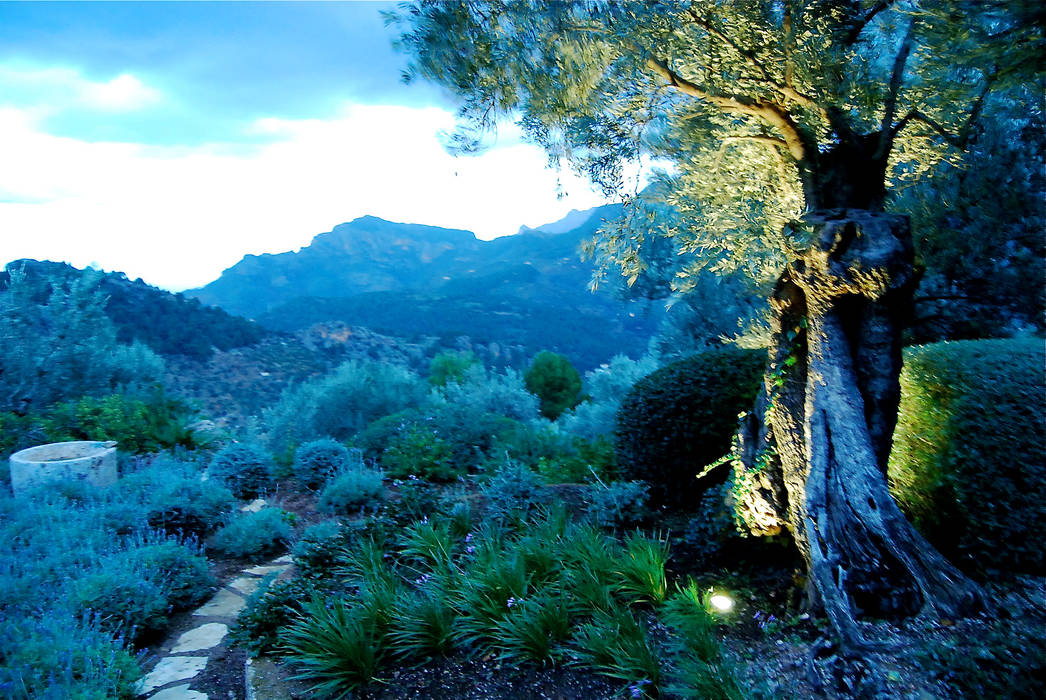 Refurbishment of existing house in Soller, Tono Vila Architecture & Design Tono Vila Architecture & Design Mediterranean style garden