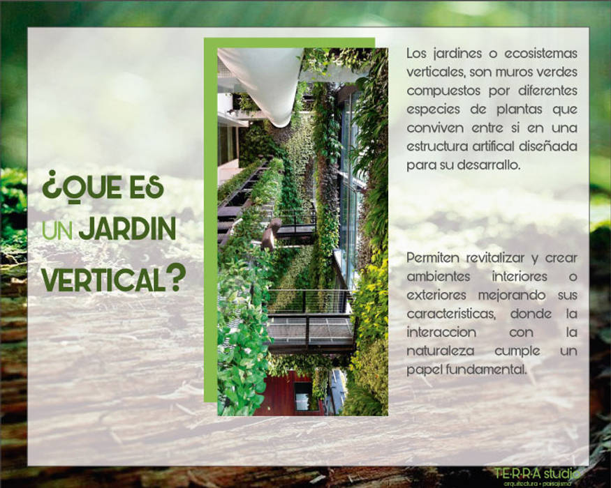 ¿Que es un jardin vertical? TERRA Arquitectura + Paisajismo Jardines modernos: Ideas, imágenes y decoración