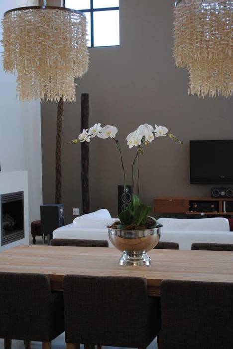 Open plan living space Salomé Knijnenburg Interiors Modern living room