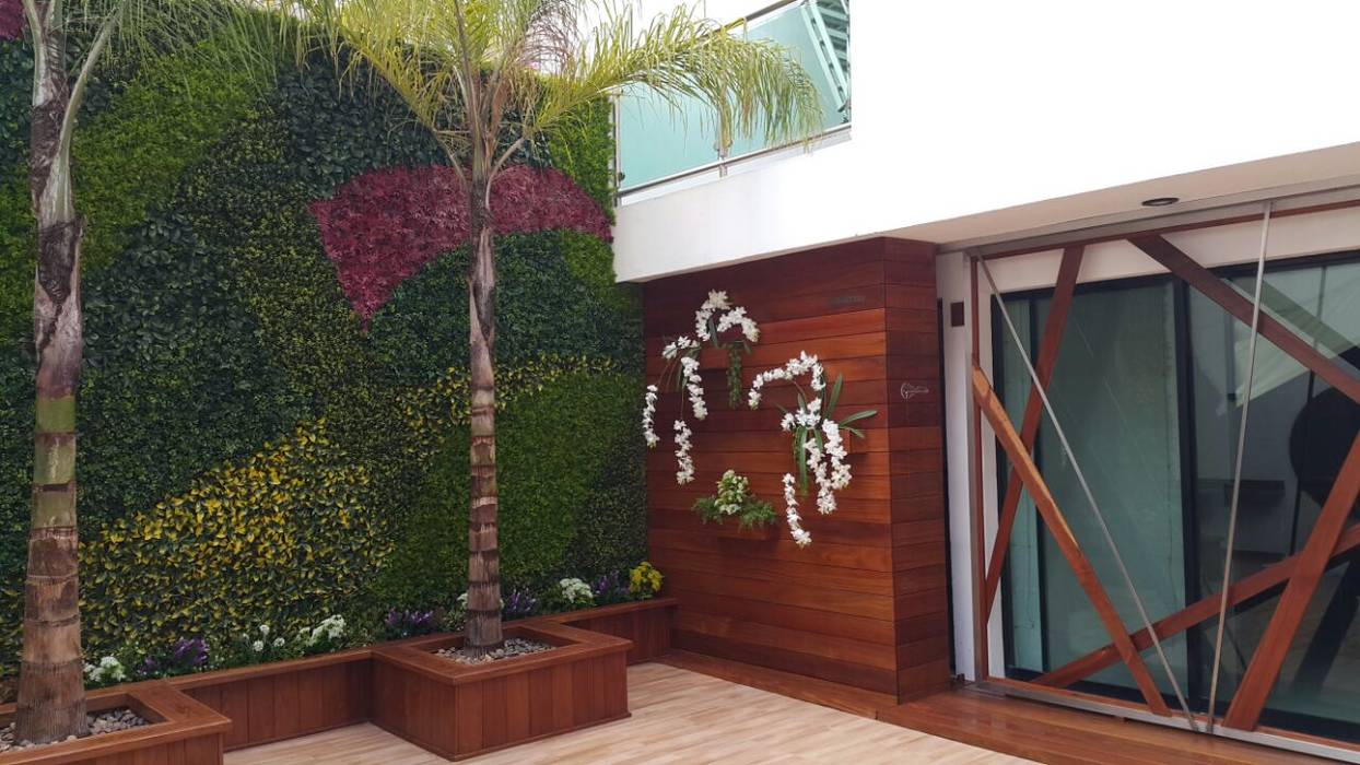 Muro verde Stann Designs S.A de C.V. Jardines modernos: Ideas, imágenes y decoración Plantas y flores