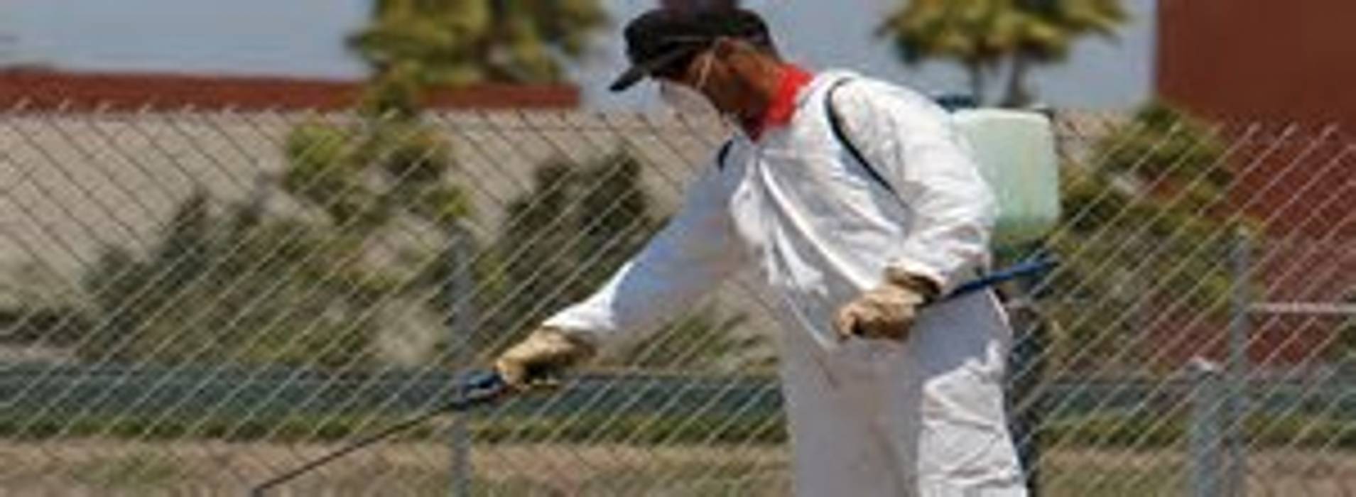 Fumigation project Johannesburg pest control Pest control