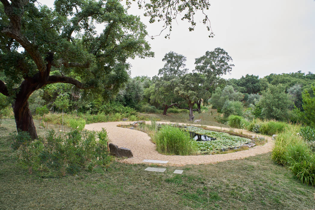 Garden with natural swimming pool, Atelier Jardins do Sul Atelier Jardins do Sul Eclectic style garden