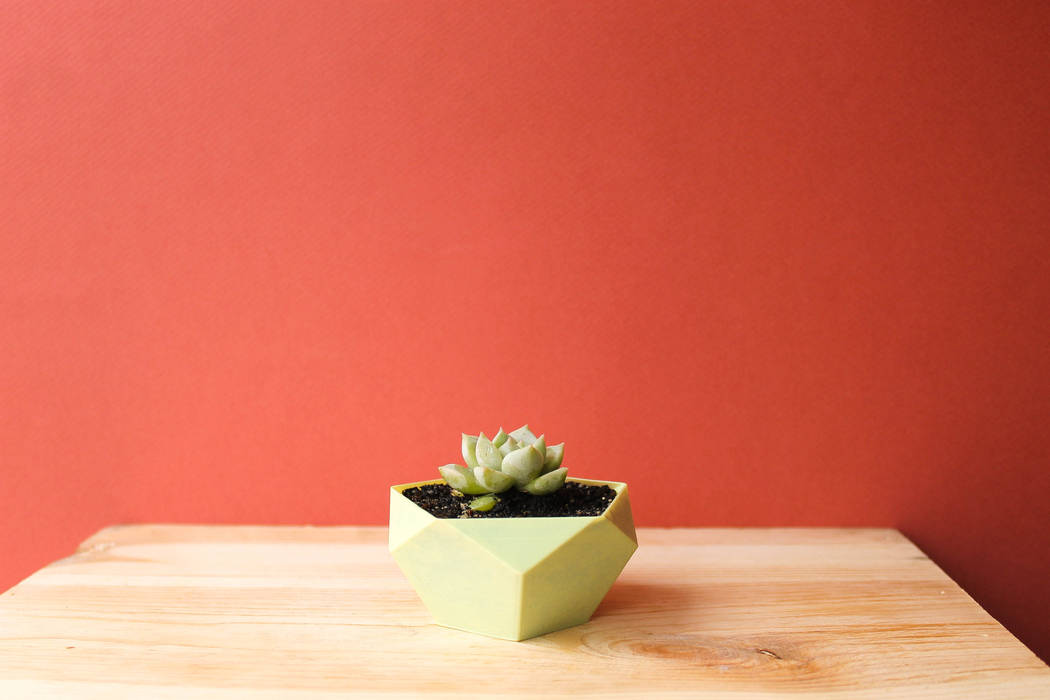 .Poly Fabric3D Jardines de estilo minimalista Plantas y accesorios