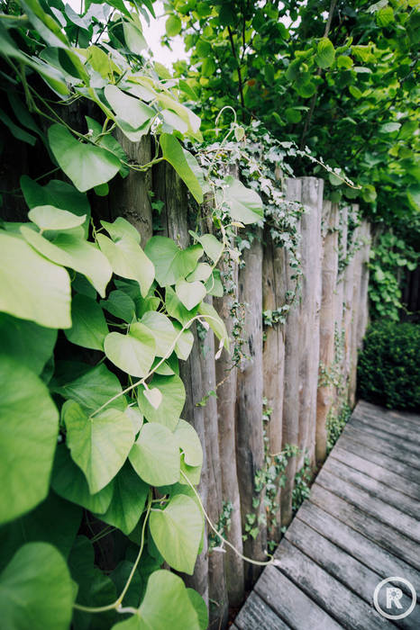 Groene tuin zonder groene duimen?, De Rooy Hoveniers De Rooy Hoveniers Modern style gardens