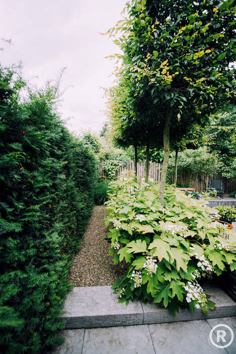 Groene tuin zonder groene duimen?, De Rooy Hoveniers De Rooy Hoveniers Moderne tuinen
