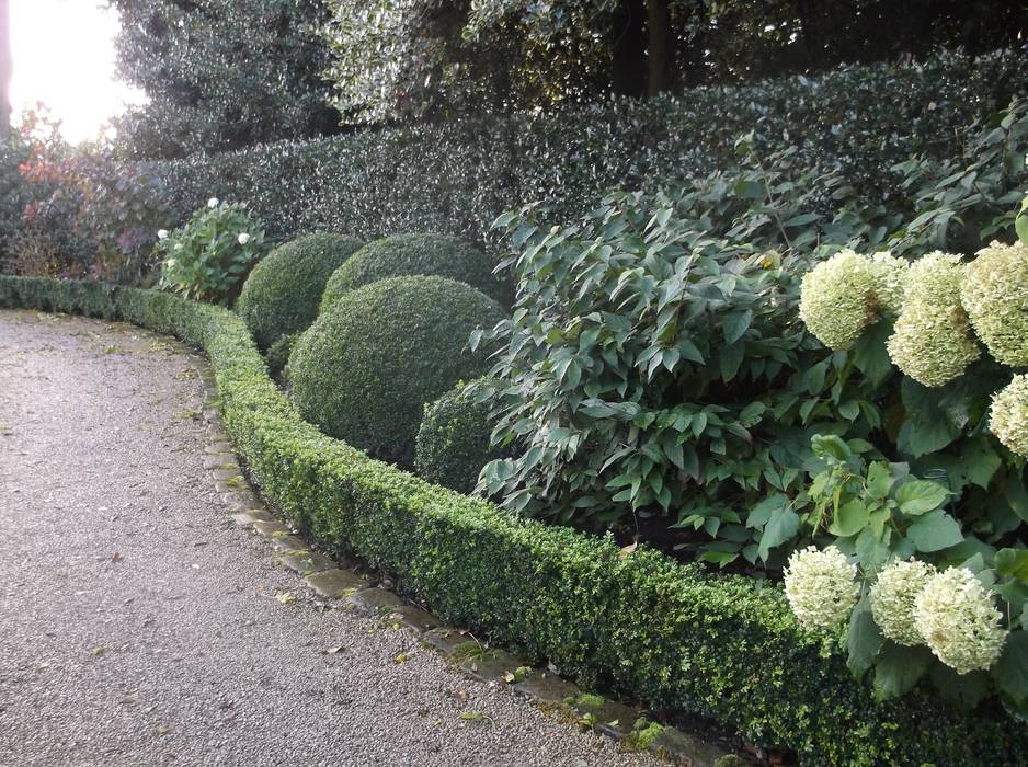 A Bowdon Garden Charlesworth Design Giardino classico hydrangea,frontgarden,bowdon,bowdongarden,classicgarden,boxballs,topiary