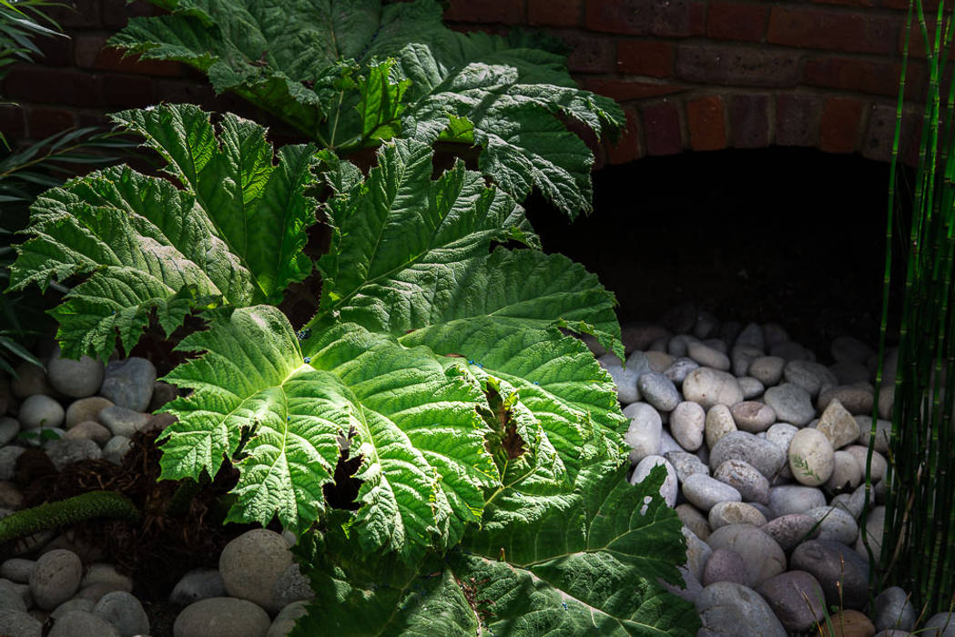 Flood Plain, Cool Gardens Landscaping Cool Gardens Landscaping