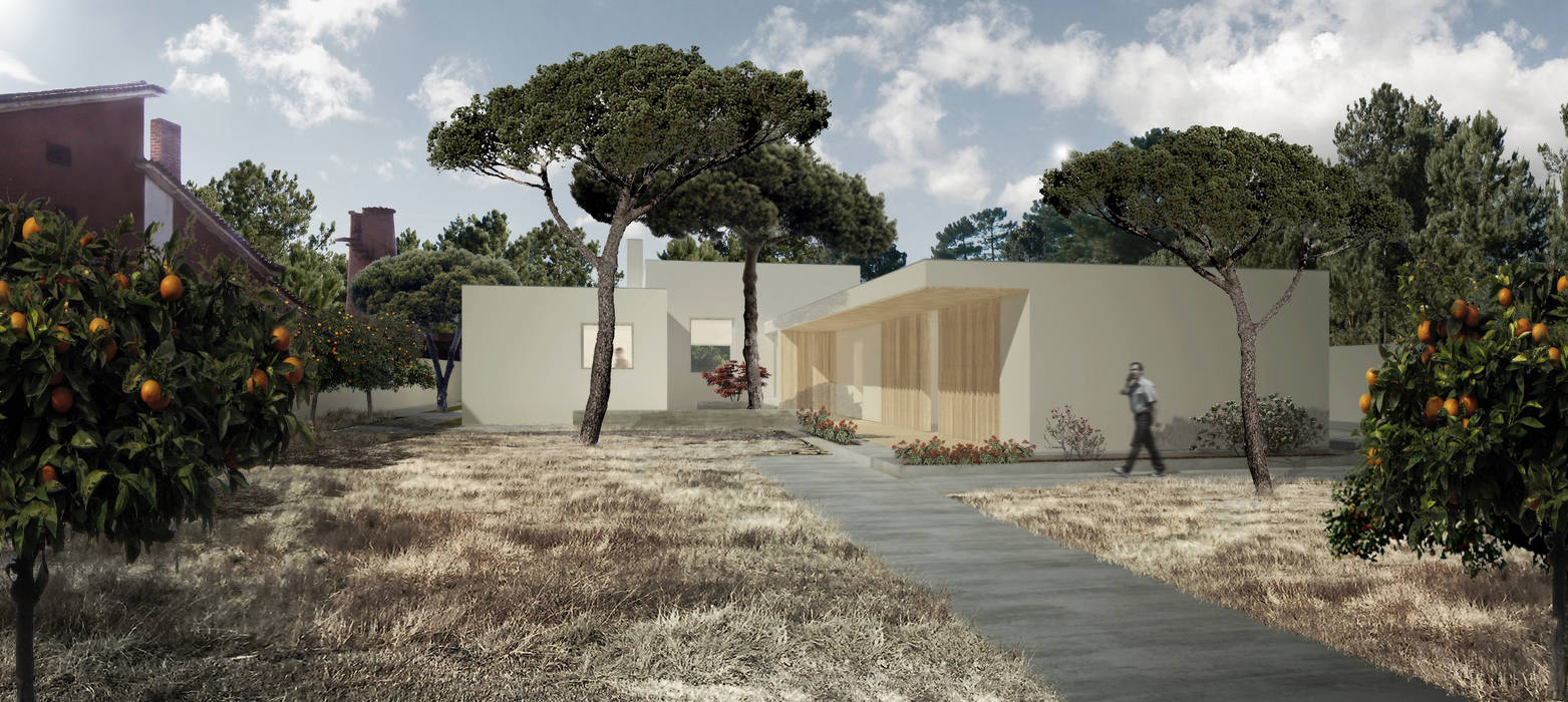 Tiago Tomás Arquitecto Сад в стиле модерн