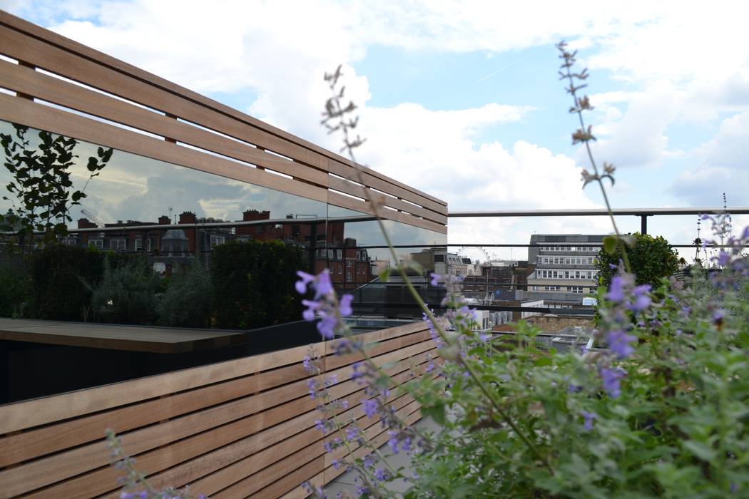 Ganton Street Roof Terrace London Aralia Commercial spaces Glass rooftop terrace,roof,rooftop garden,outdoor workplace,outdoor kitchen,outdoor bar,outdoor fridge,outdoor office,london,garden seating,outdoor seating,outdoor furniture,Commercial Spaces