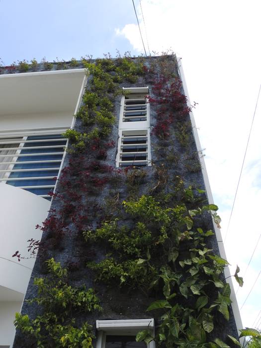 JARDINES VERTICALES, Elementum Arquitectos SAS Elementum Arquitectos SAS Modern walls & floors