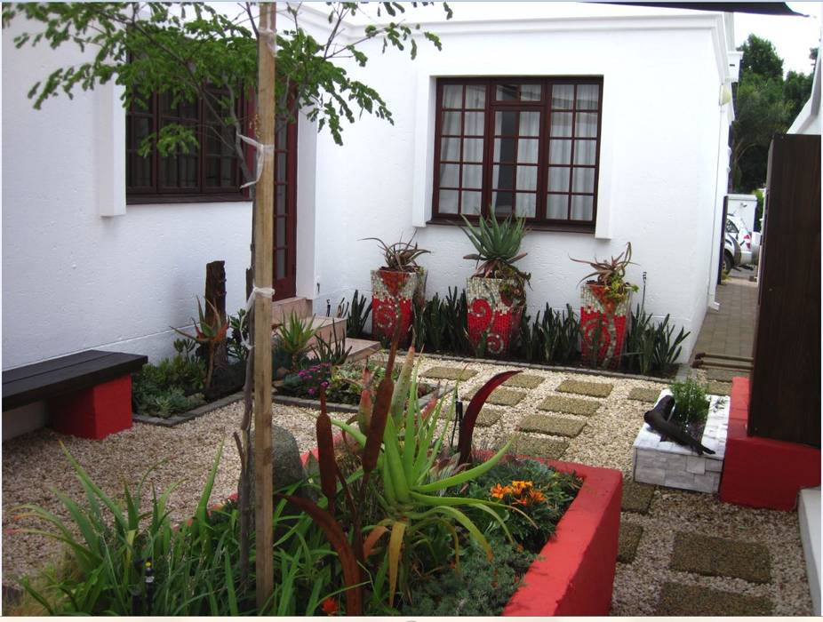 Small garden sapces Young Landscape Design Studio Modern Garden Aloes,grasses,small courtyard,Mosaic,waterwise,hardy,low maintenance