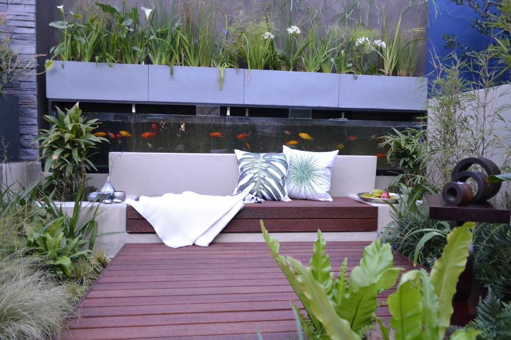 Working with walls Young Landscape Design Studio Modern Garden Small garden,Aquaponics,bench,ideas,waterloving plants,grasses,landscaping,landscape design,landscape designer,johannesburg